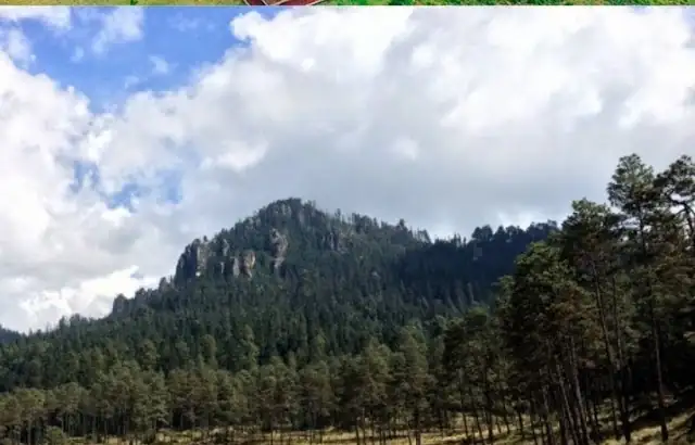 Pinos y montaña camino a Corral de Piedra